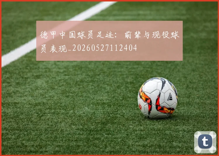 德甲中国球员足迹:前辈与现役球员表现_20260527112404